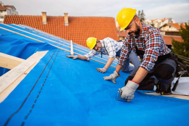 Best Roof Ventilation Installation  in Austin, MN